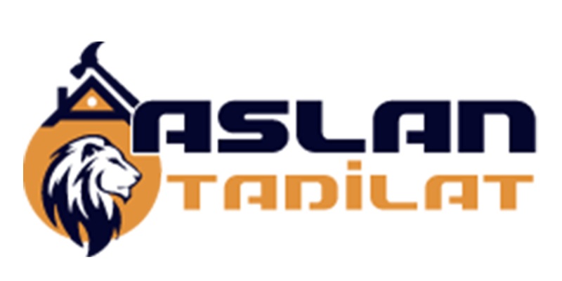 Aslan Tadilat